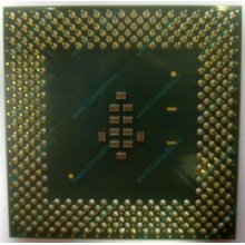 Celeron 1000A в Благовещенске, процессор Intel Celeron 1000 A SL5ZF (1GHz /256kb /100MHz /1.475V) s.370 (Благовещенск)