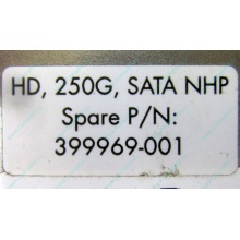 HP 250G 7.2k 432337-001/ 399699-001 / 397377-004 SATA HDD (Благовещенск)