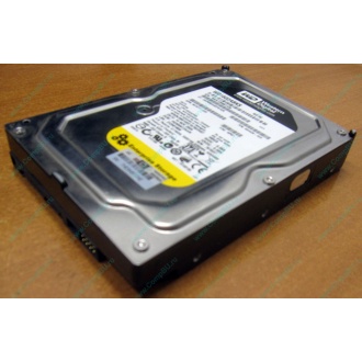 Жесткий диск 160Gb WD WD1602ABKS SATA (Благовещенск)