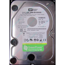 Б/У жёсткий диск 500Gb Western Digital WD5000AVVS (WD AV-GP 500 GB) 5400 rpm SATA (Благовещенск)