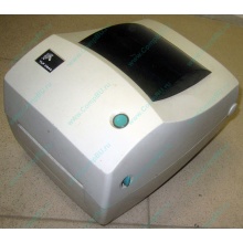 Глючный термопринтер Zebra TLP 2844 в Благовещенске, принтер Zebra TLP2844 с глюком (Благовещенск)