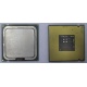 Процессор Intel Celeron D 336 (2.8GHz /256kb /533MHz) SL98W s.775 (Благовещенск)