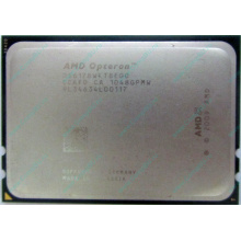 AMD Opteron 6128 OS6128WKT8EGO (Благовещенск)