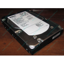 Жесткий диск 300Gb 15k Dell 9CH066-050 6G SAS (Seagate Cheetach ST3300656SS 15K.6) - Благовещенск