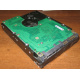 Жесткий диск 300Gb 15k Seagate Cheetach ST3300656SS 15K.6 Dell 9CH066-050 6G SAS (Благовещенск)